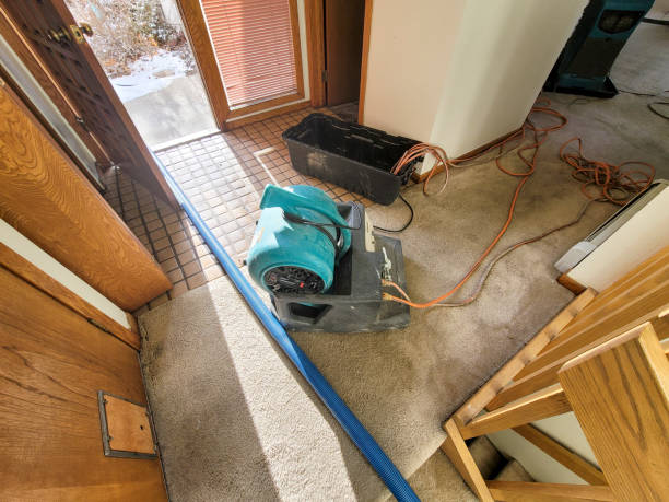  Strafford, MO Water damage restoration Pros