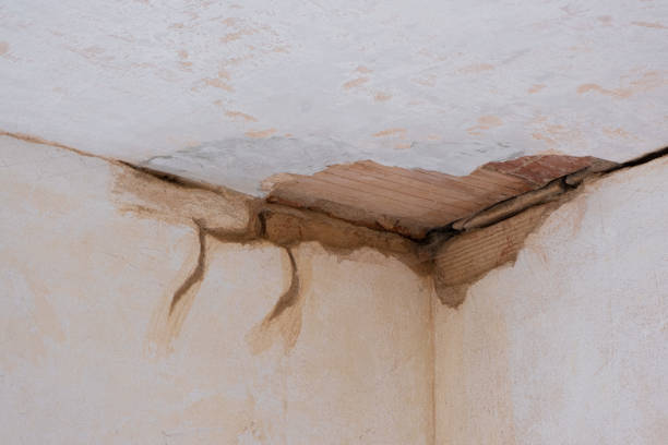 Best Ceiling water damage repair  in Strafford, MO