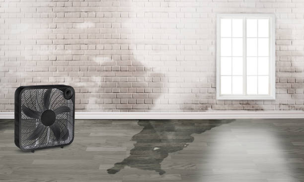 Best Emergency water damage restoration  in Strafford, MO