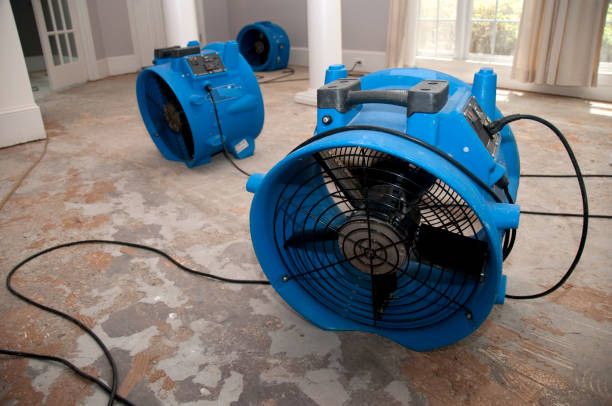 Best Flood restoration services  in Strafford, MO