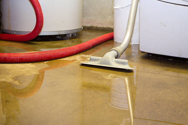 Best Flood damage cleanup  in Strafford, MO