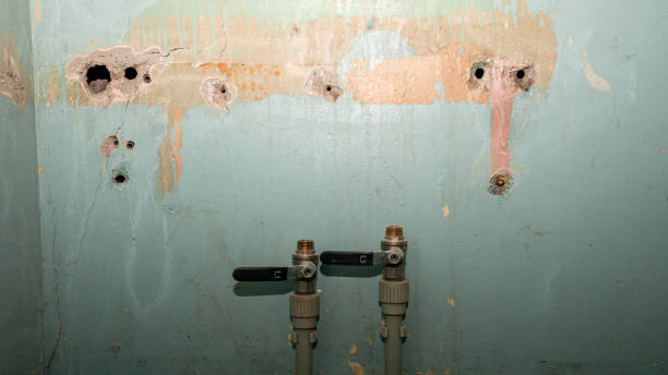 Best Water damage contractors near me  in Strafford, MO